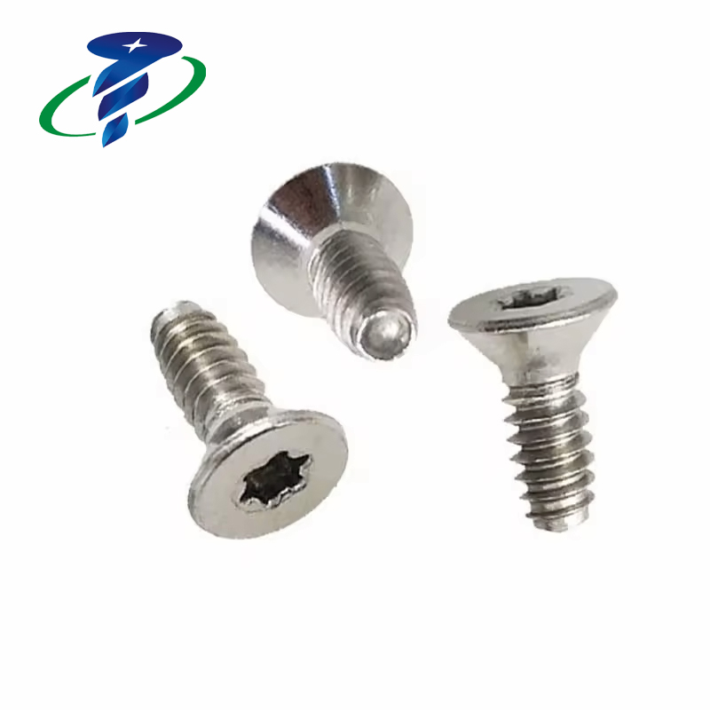 Torx Countersunk Head screw