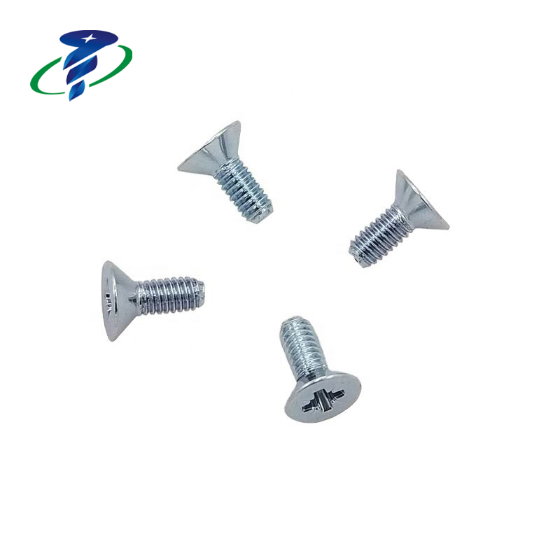 Flat Head Screw