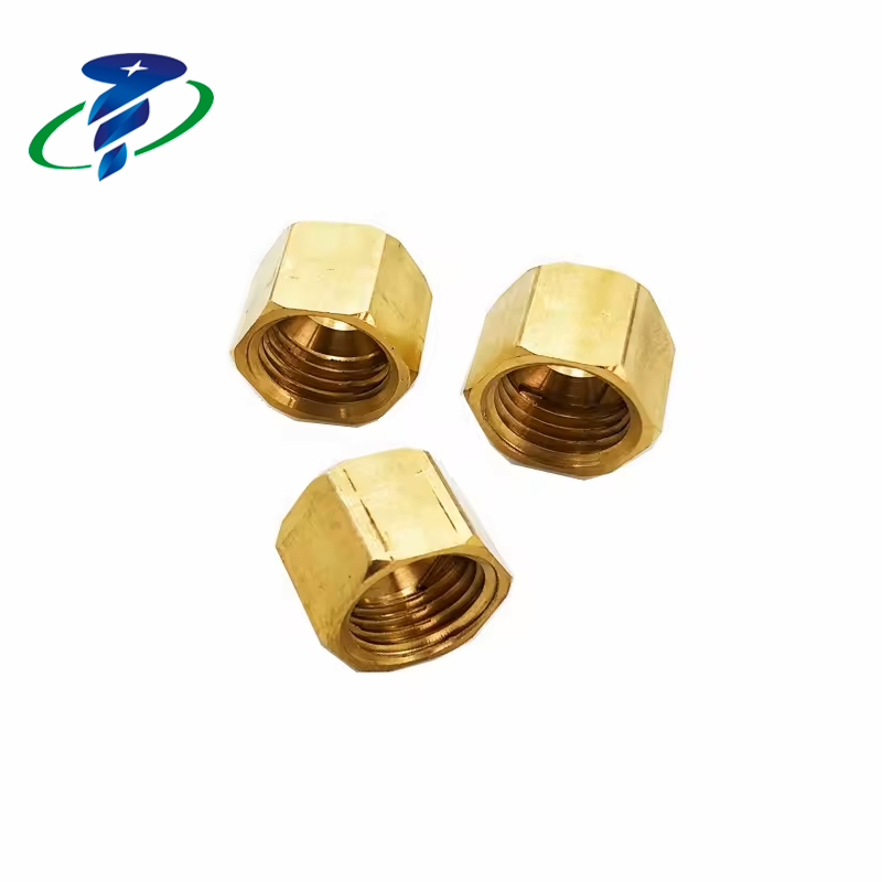 brass Fastener