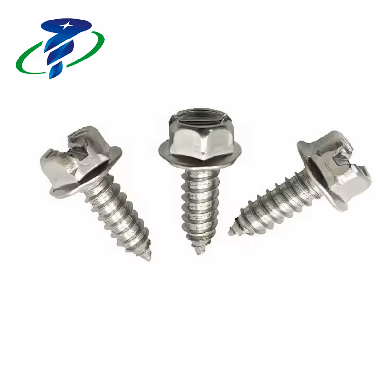 License Plate Screw