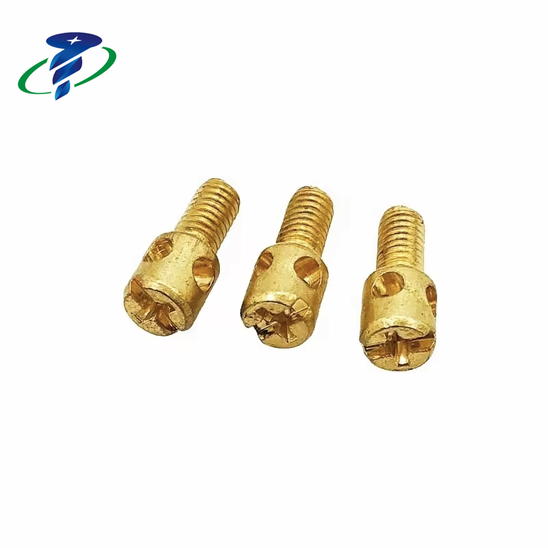 Electric Meter Seal Enclosure Screws