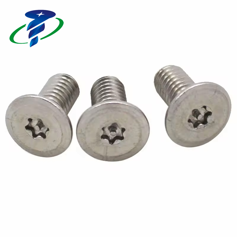 Torx Security Screw