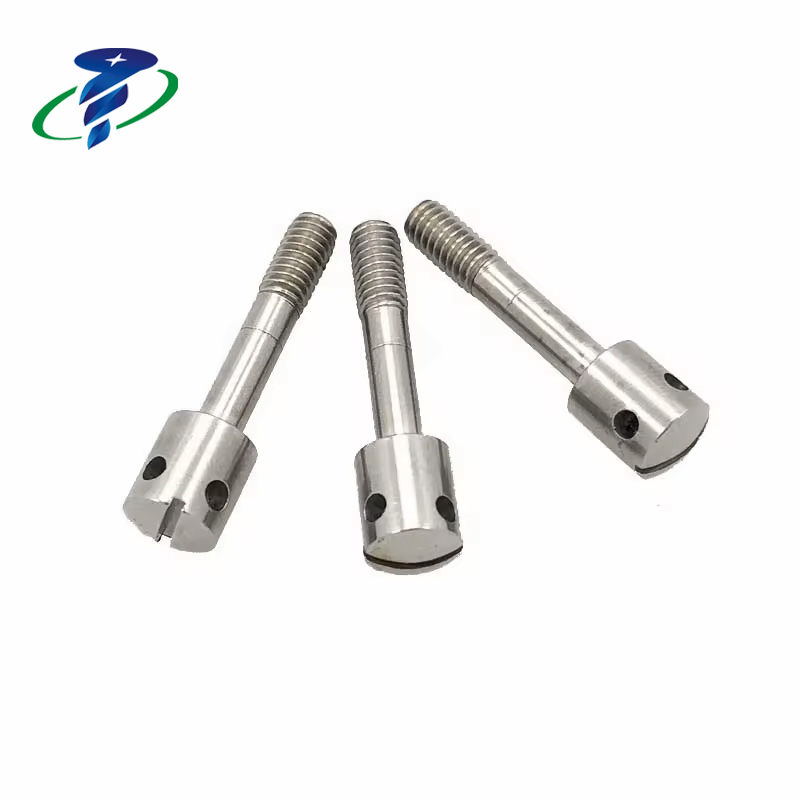 Drilled Head Stainless Steel Sealing Screw