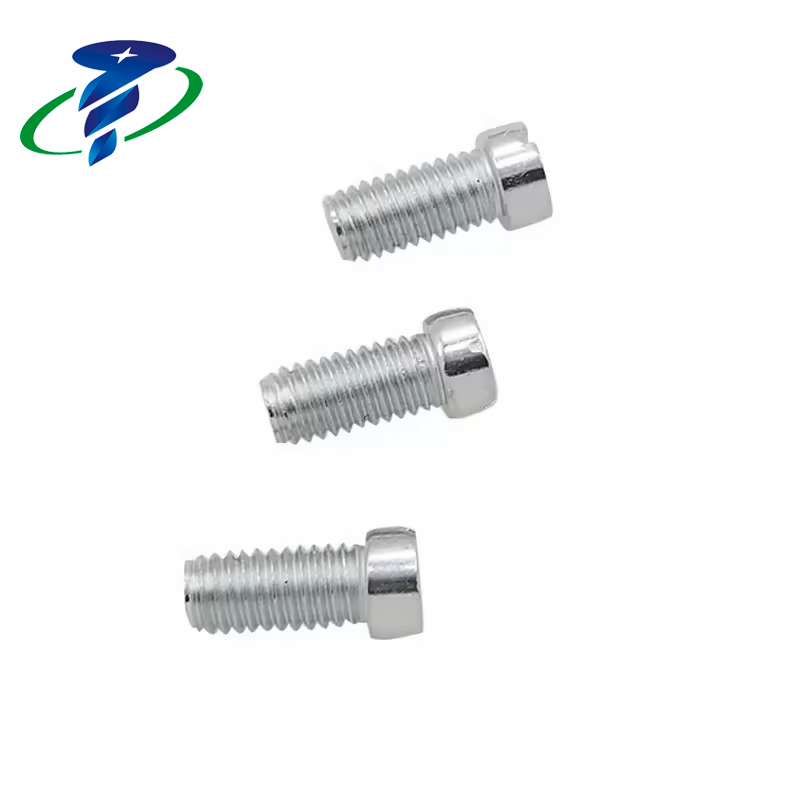 Terminal Screw