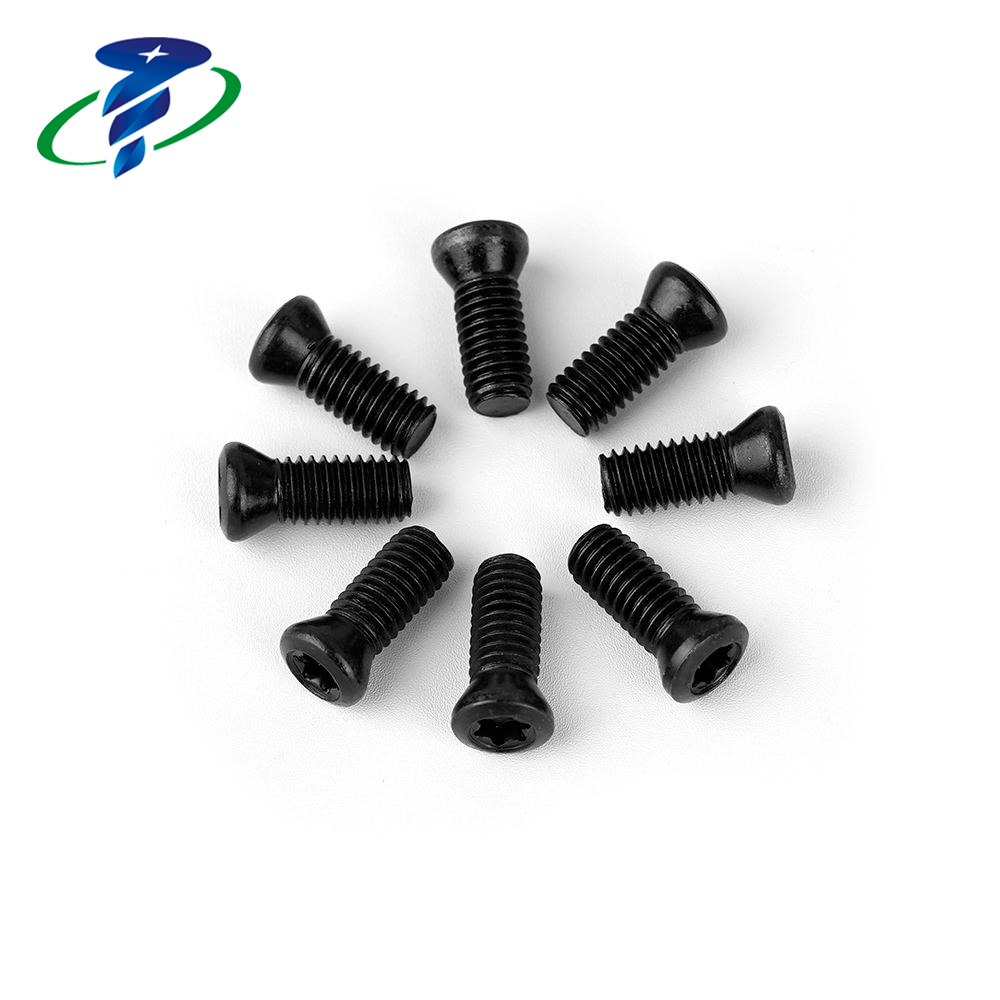 Custom M2.5x6mm Torx Screws