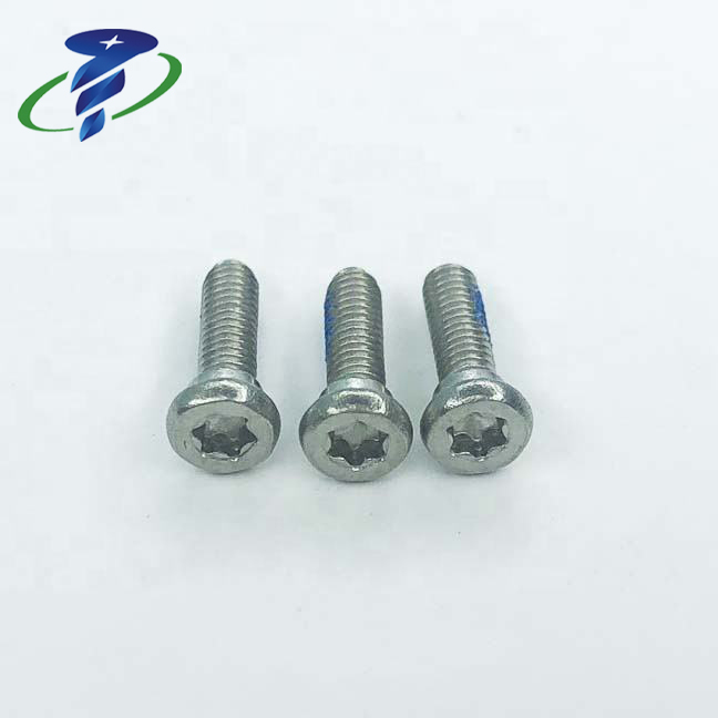 Torx Flat Head Shoulder Screw With Nylon Patch