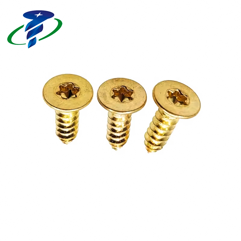 Torx Countersunk Screw