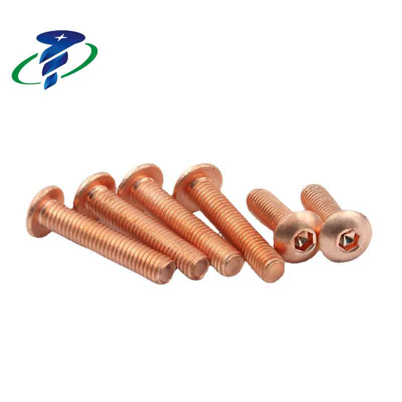 Mushroom Head Screws With Hex Socket