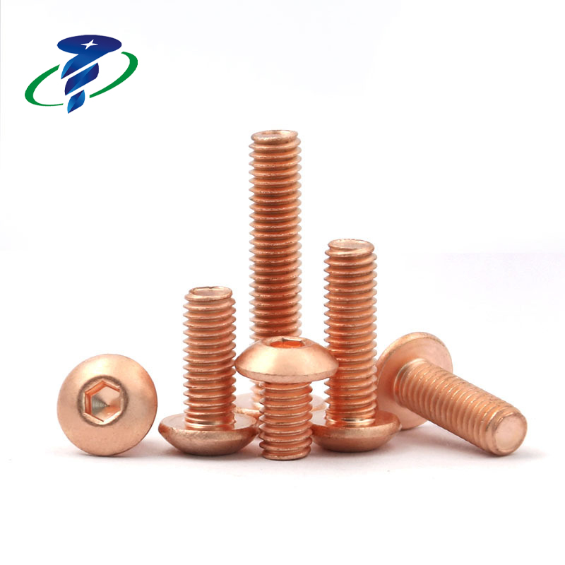 Mushroom Head Screws