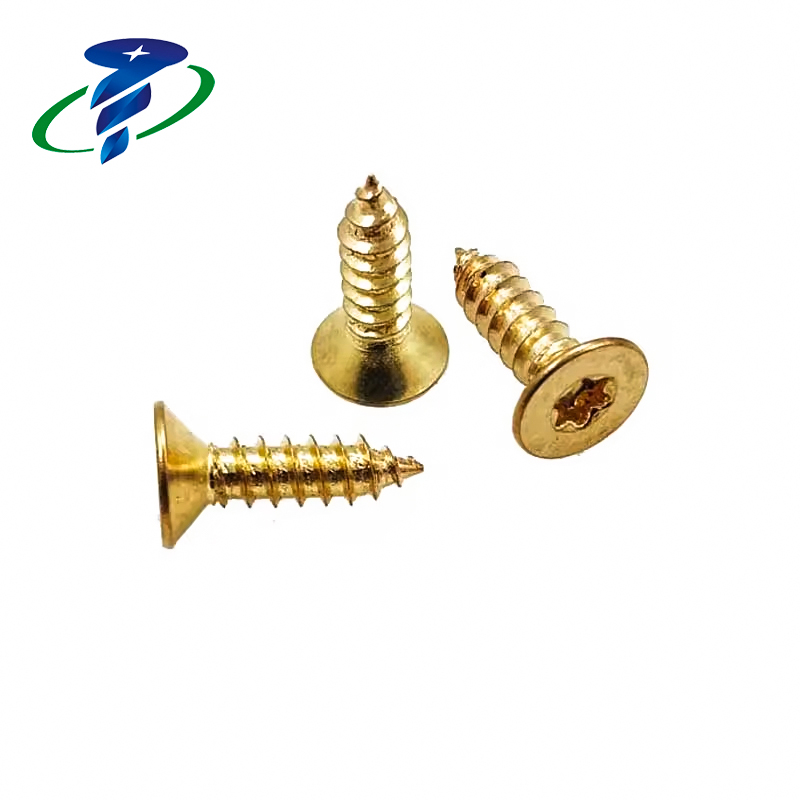 Torx Self Tapping Screw